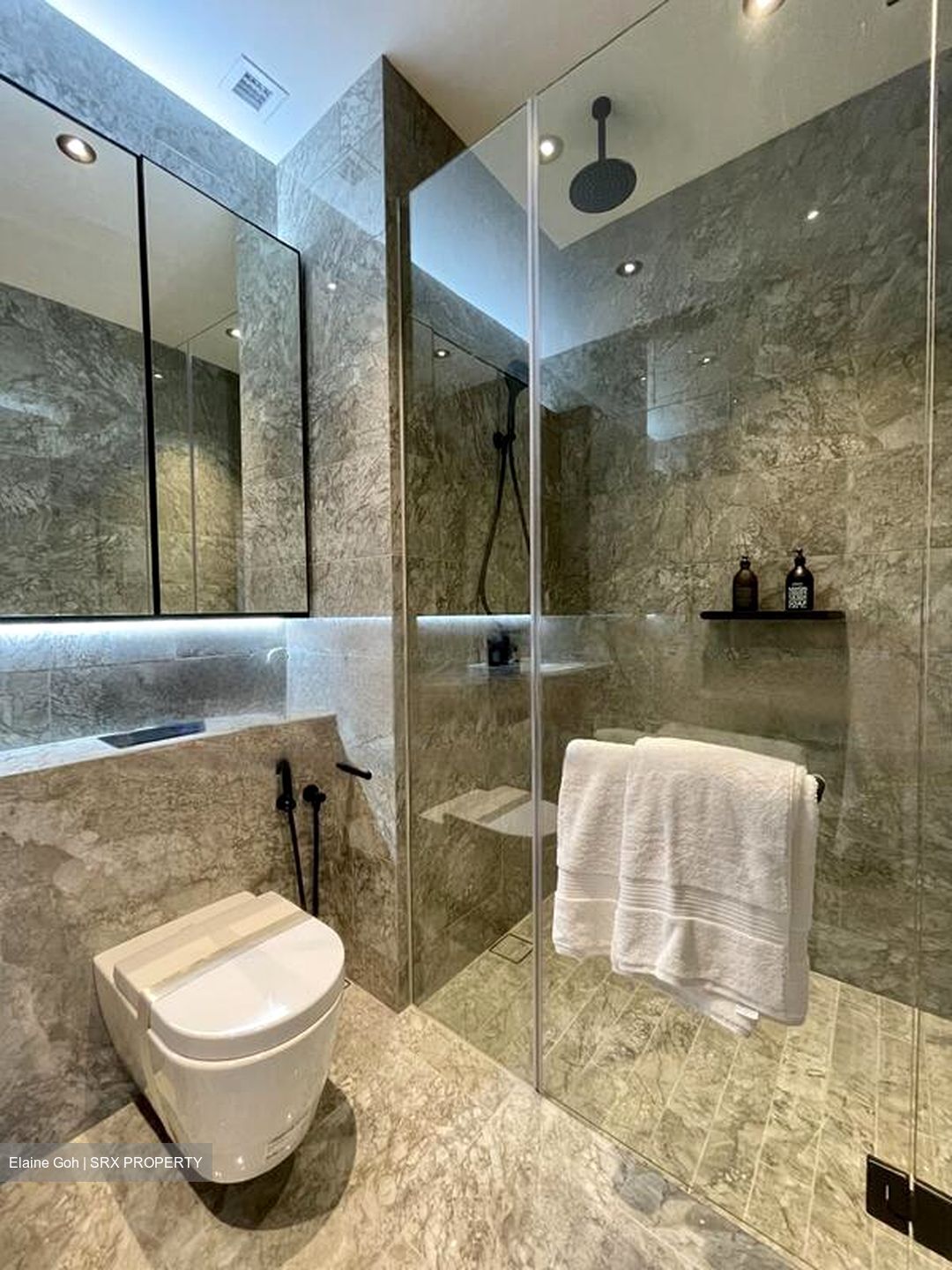 Jervois Privé (D10), Apartment #511017731